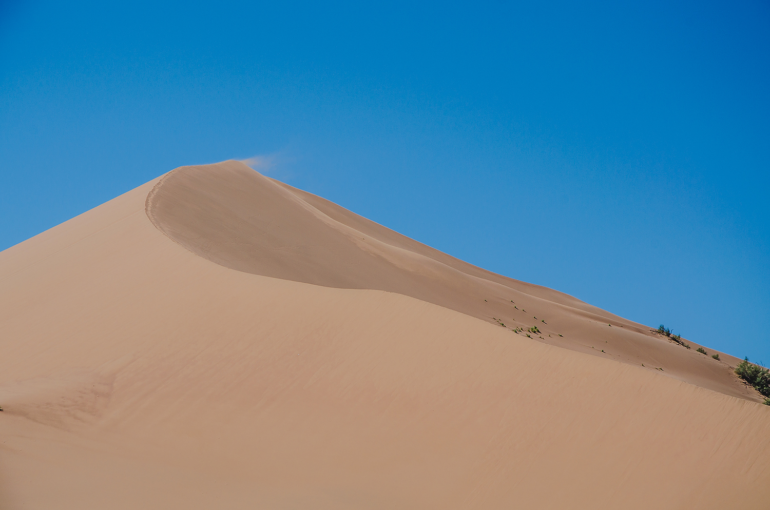 <span style="font-weight: bold;">Altyn Emel National Park </span>2 Tage Tour
